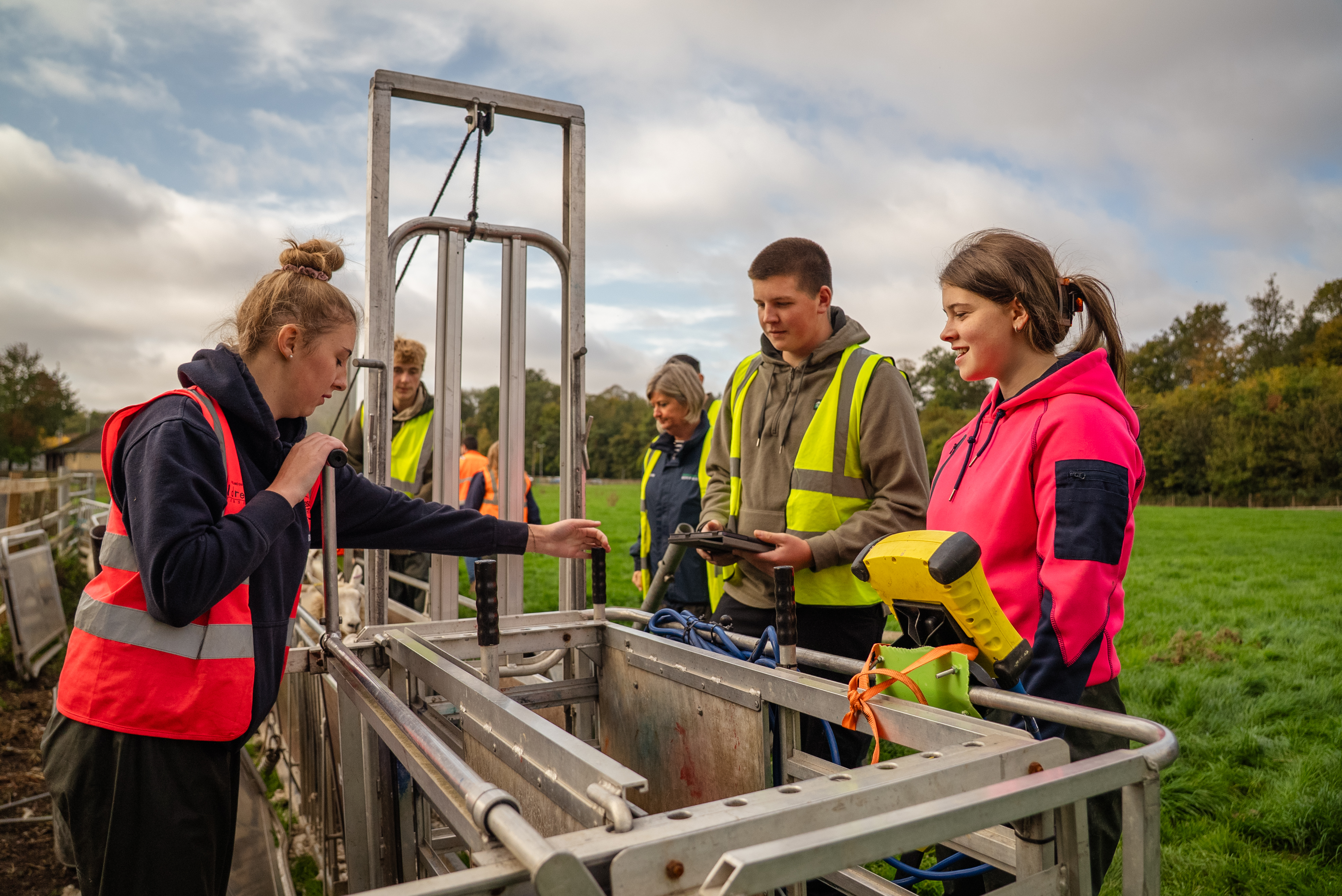 Agriculture students on the farm at Bishop Burton College