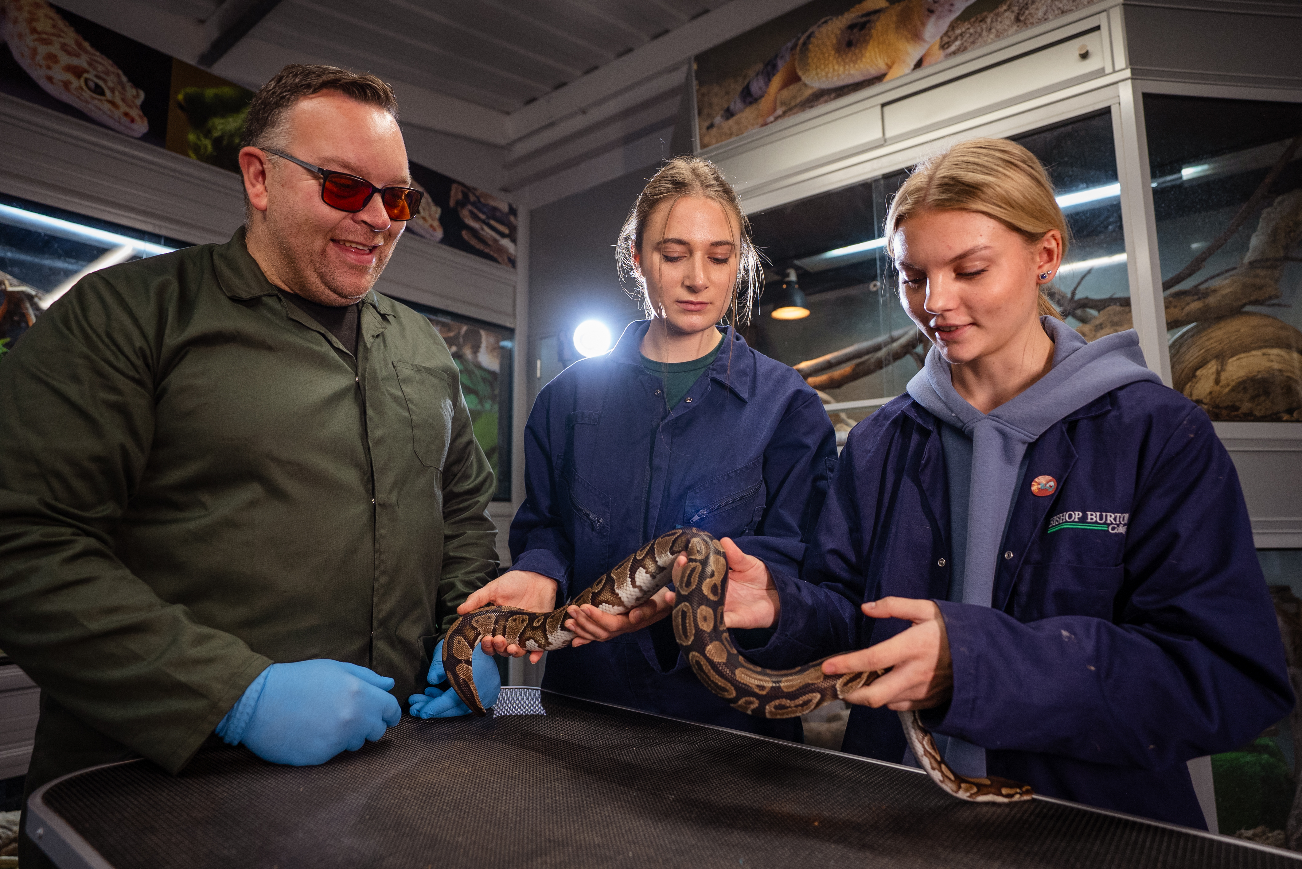 Bishop Burton College Students observing a snake