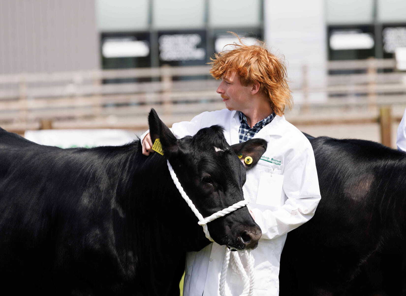 Bishop Burton College student at stock skills