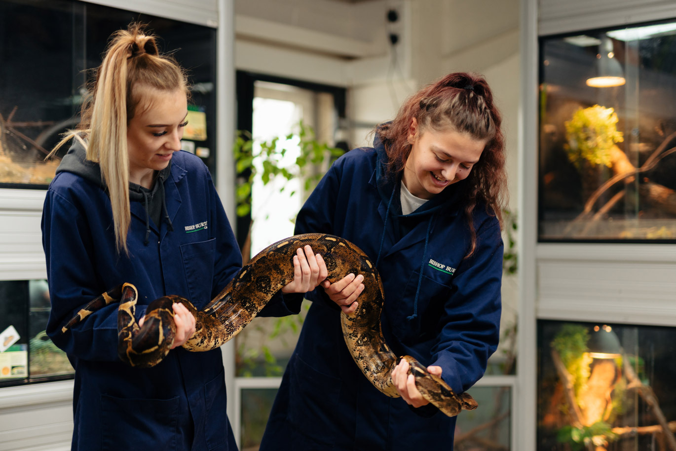 Animal management
