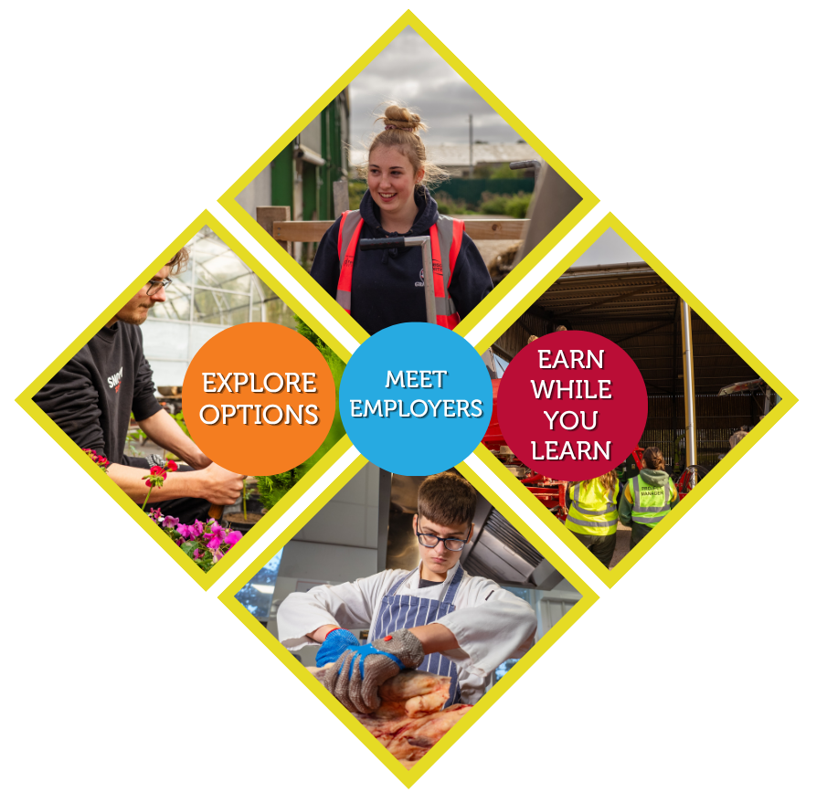 Apprenticeship Careers Evening 2