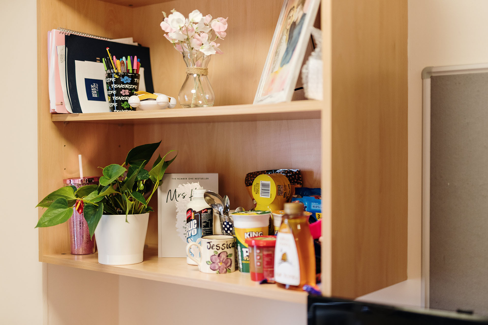 Bishop Burton College Accommodation Shelves