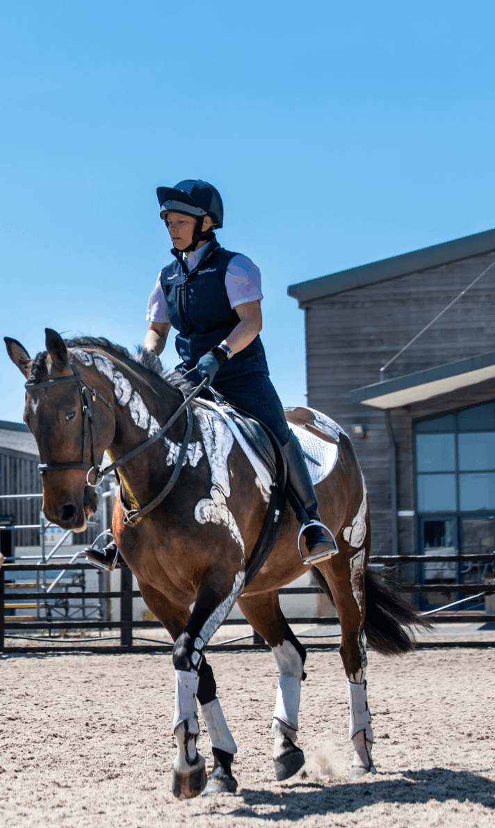 Bishop Burton Equine tutor on a painted horse