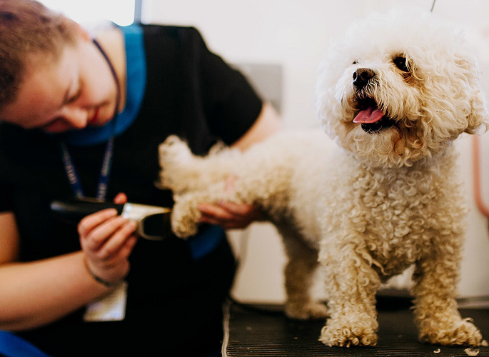 Come and enjoy our amazing Public Facilities