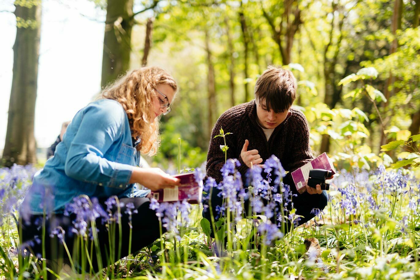 Country callout Environmental degree students identifying flora and fauna
