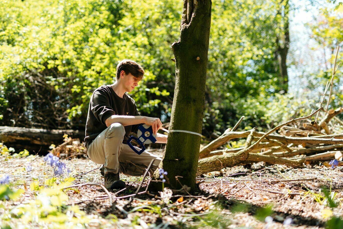 Country gallery Countryside student measuring tree in Bishop Burton woodland