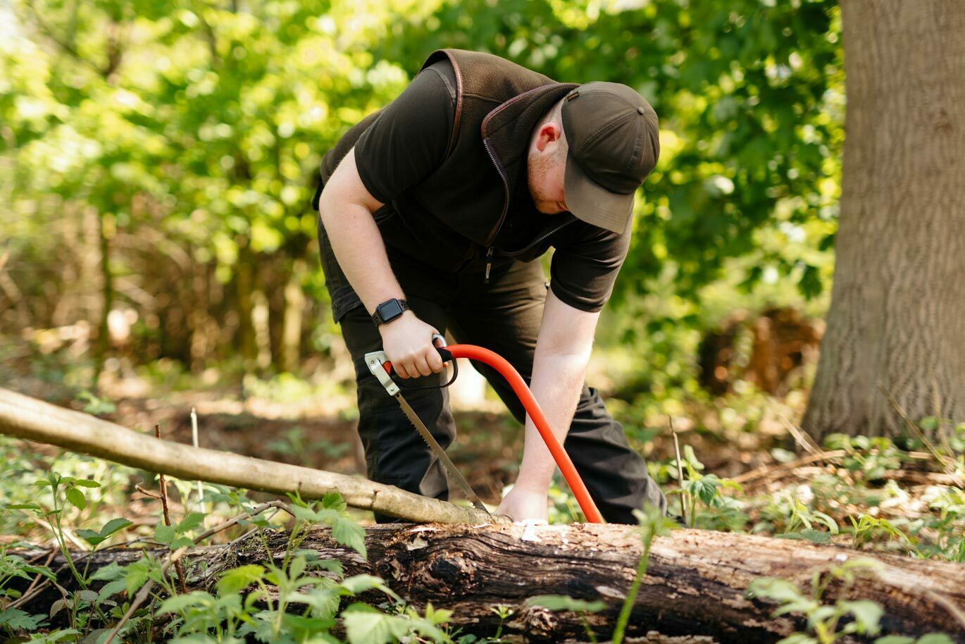 Country gallery Sawing tree branch for Countryside Management course