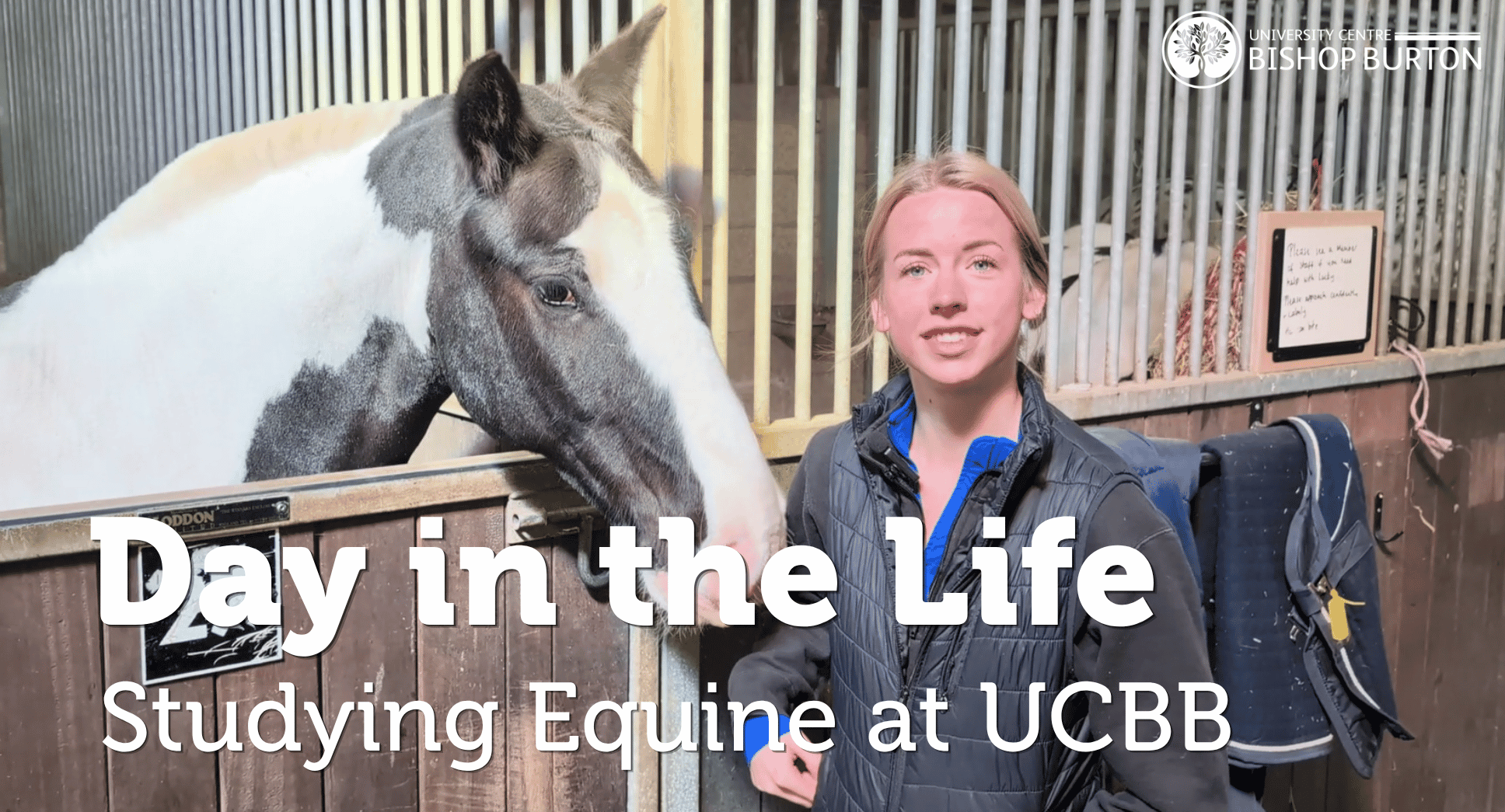 Day in the life of equine degree student video thumbnail