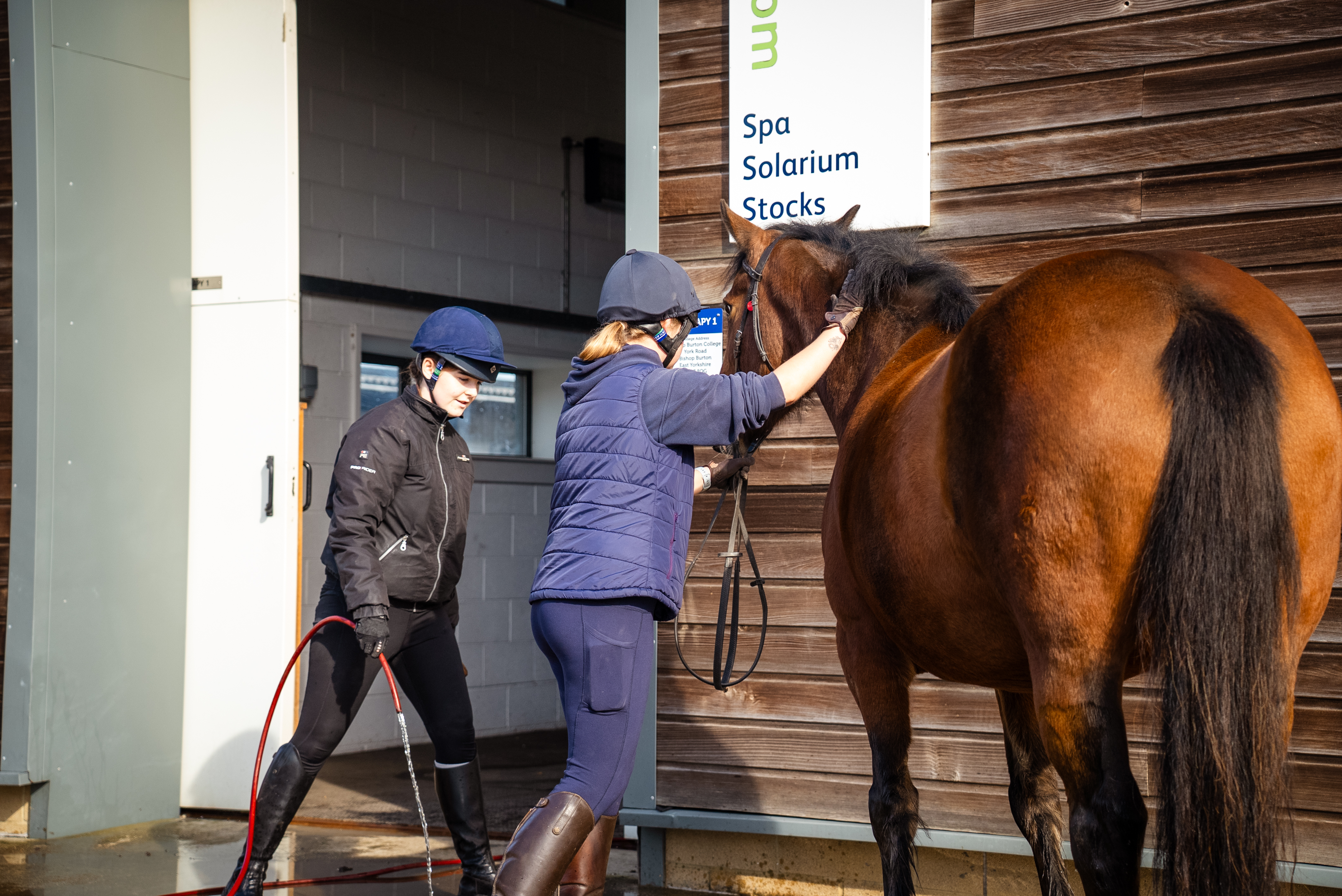 Equine Students Washing a Horse