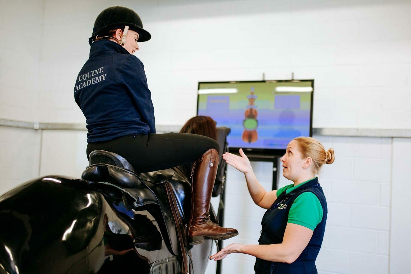 Equine academy rider training mechanical horse