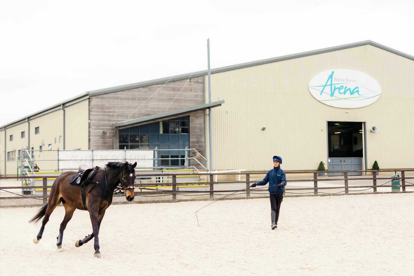 Equine gallery Equine student lungeing horse in outdoor arena