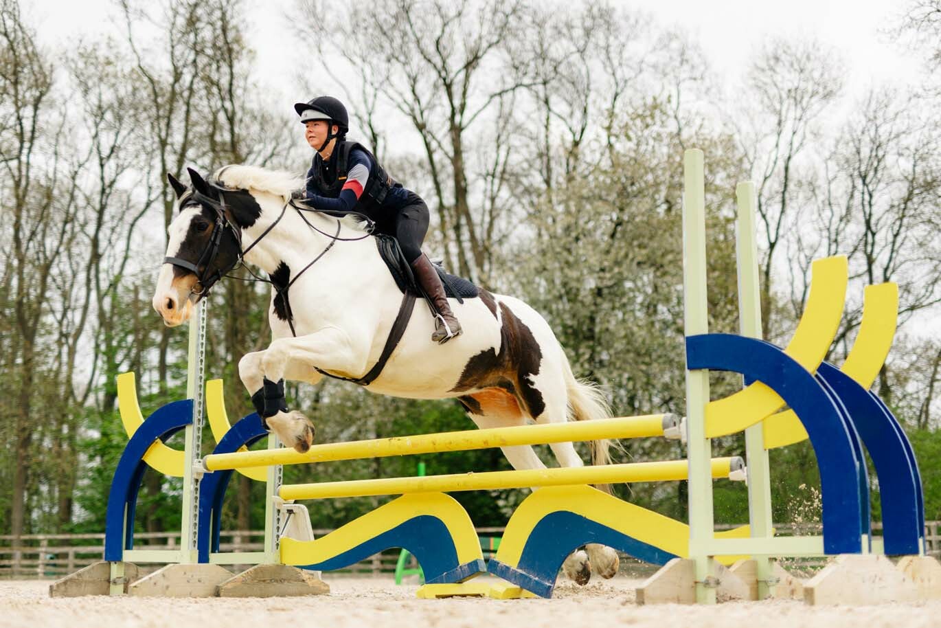 Equine gallery Equine student showjumping