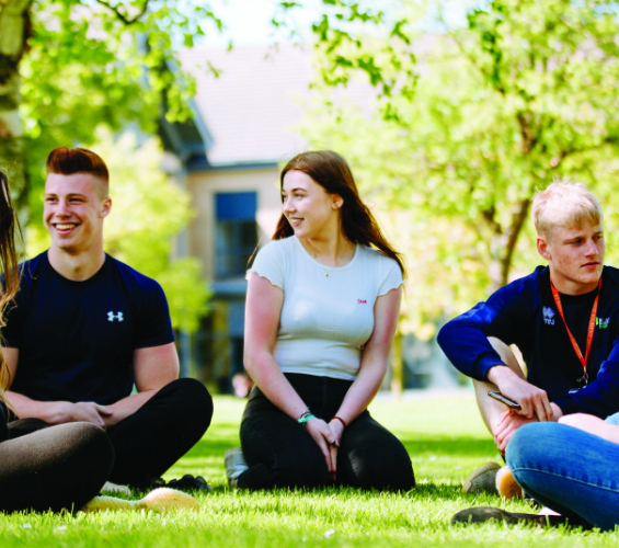 How much does it cost