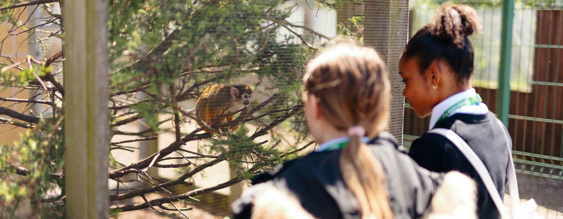 Students looking at squrriel monkey