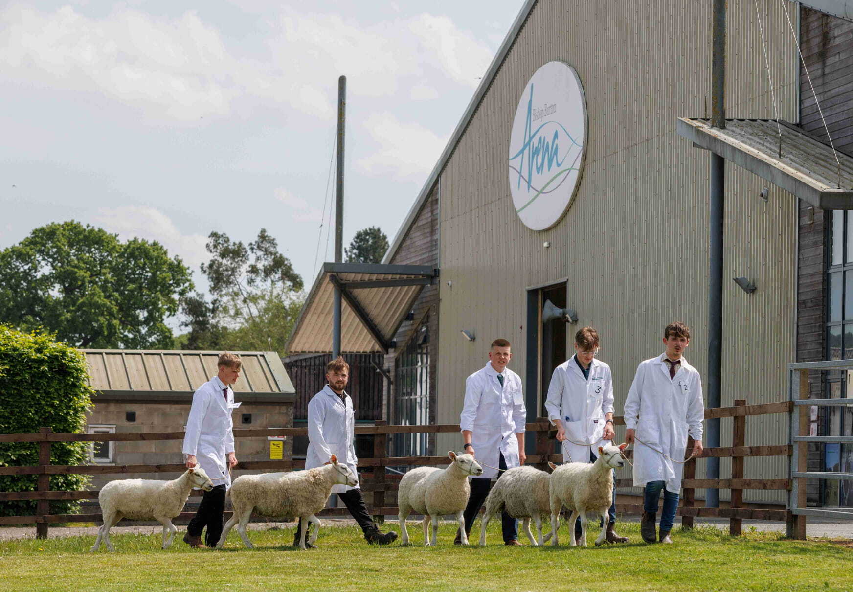Students with sheep at stock skills event at Bishop Burton College