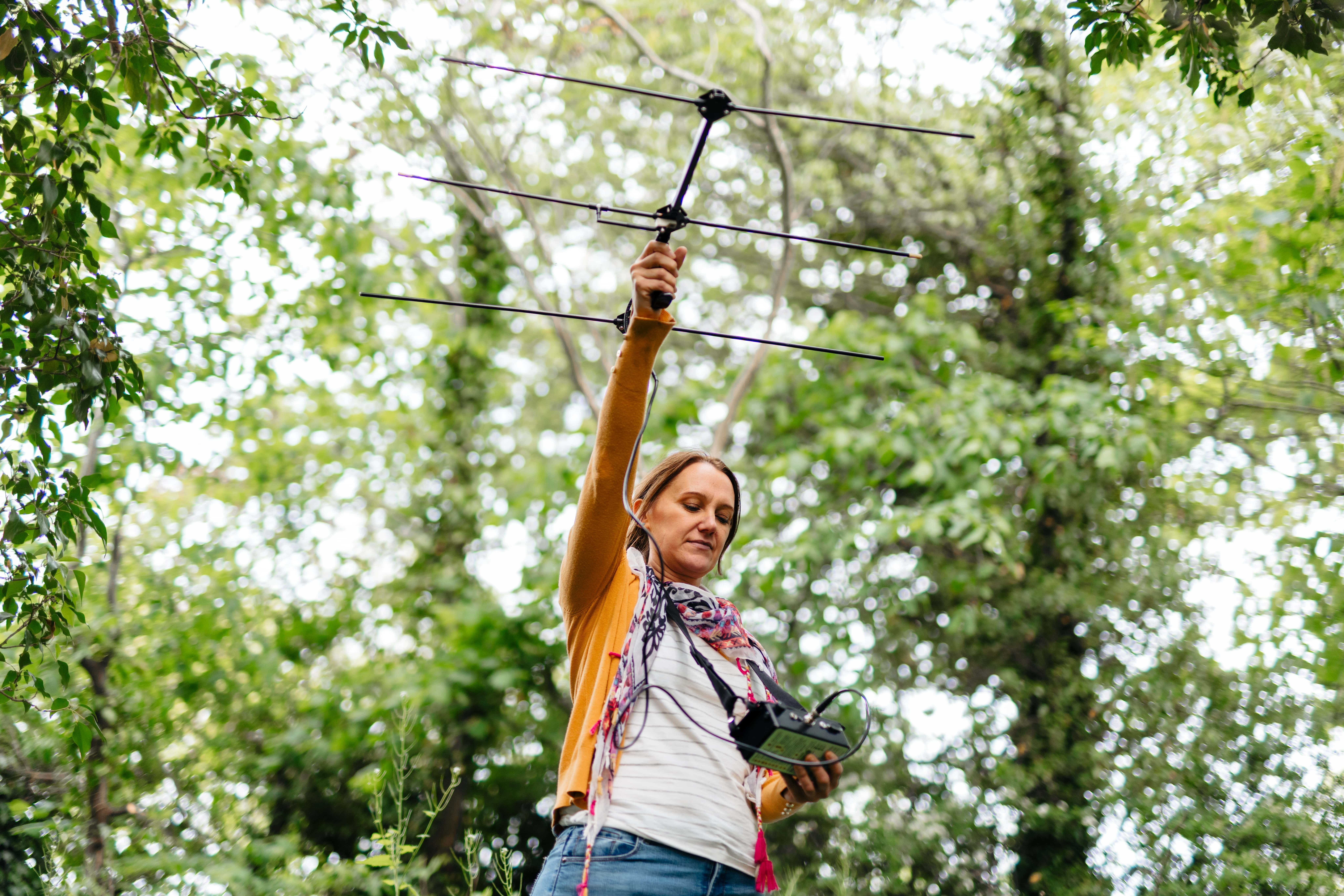 Conservation student