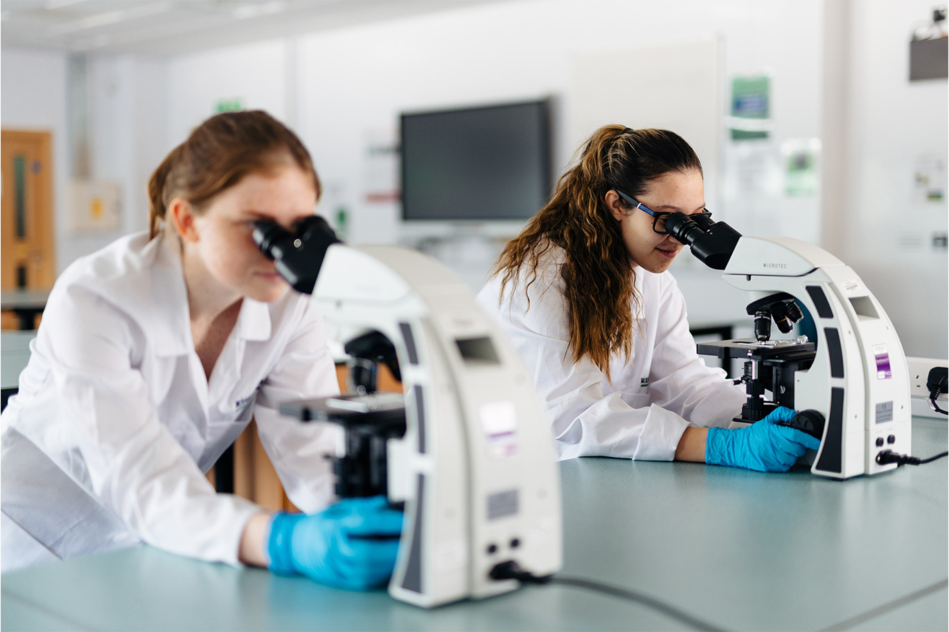 Understanding courses thumb Animal students looking through microscope