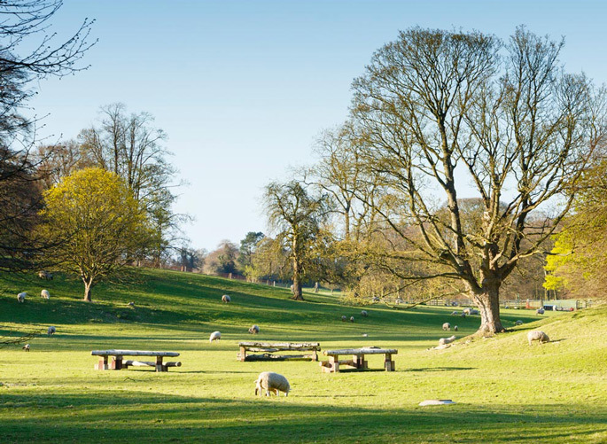 View across Bishop Burton parkland callout