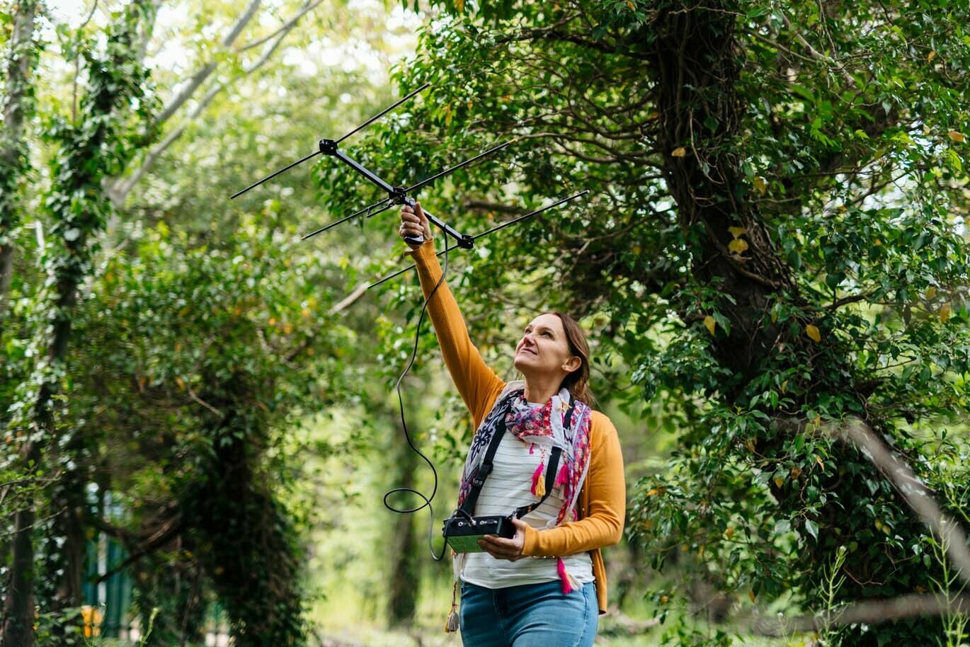 View all courses thumb Degree students radio tracking in woodlands