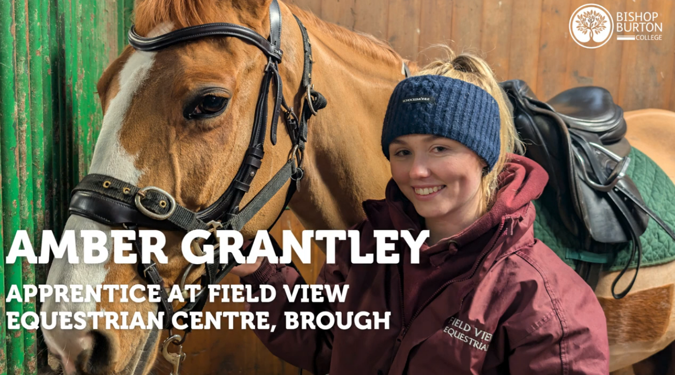 Equine apprenticeship thumbnail