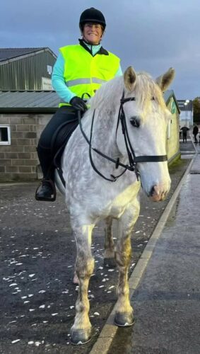 Meet Our Horses 🐴 Dan is a 4-year-old 17hh Irish
