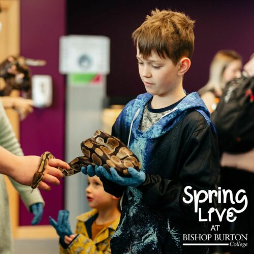 🌼 𝗦𝗽𝗿𝗶𝗻𝗴 𝗟𝗶𝘃𝗲 𝗶𝘀 𝗼𝗻𝗲 𝘄𝗲𝗲𝗸 𝘁𝗼𝗱𝗮𝘆! 𝗗𝗼𝗻'𝘁 𝗺𝗶𝘀𝘀 𝗶𝘁: