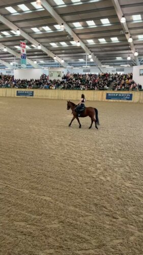Re-watch the amazing @kat_pickering_horses and