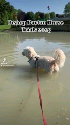 Bishop Burton Horse Trials 2023 was absolutely